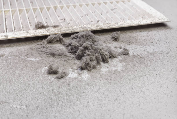 Best Home Air Vent Cleaning  in Winnsboro Mills, SC